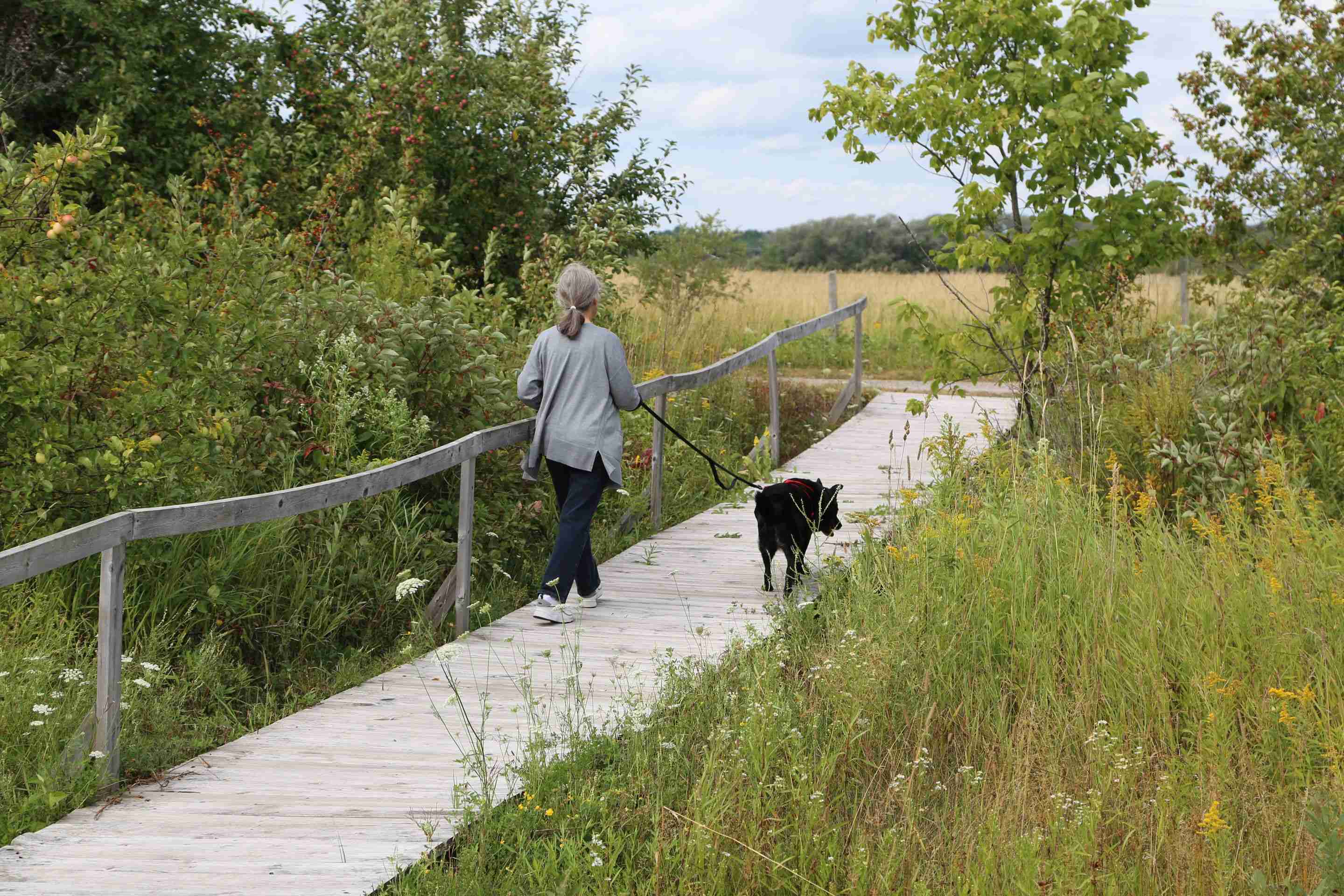 The Brook of Cheboygan walking path